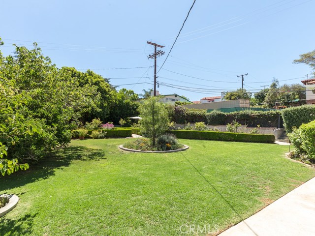 Lawn view with rose garden and fruit trees