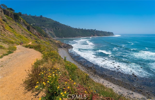 Take a hike along one of the beautiful Palos Verdes cliff sides.