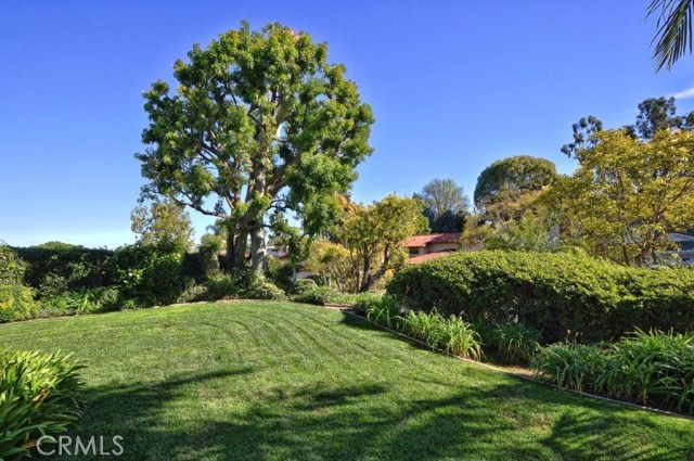 In addition to the back yard, Kids will have lots of fun in this Large Front Lawn area.