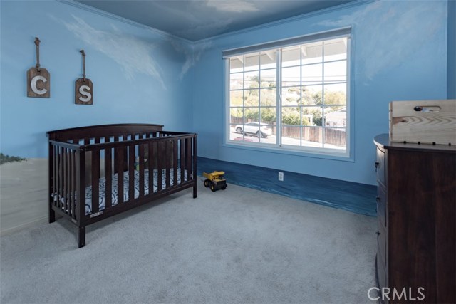 Upstairs bedroom, features sliding closet doors, large window, carpet and custom mural on wall.