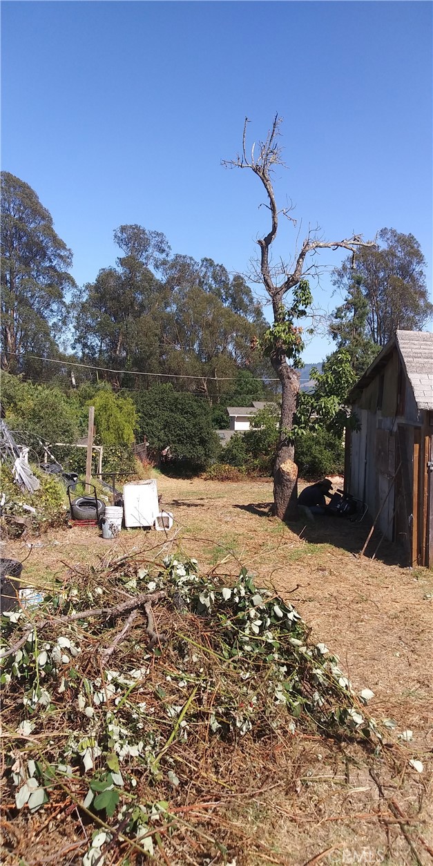 Detail Gallery Image 7 of 11 For 32 Crow Ave, Watsonville,  CA 95076 - – Beds | – Baths
