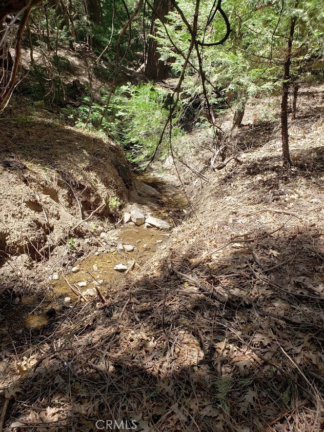 Hook Creek Road, Cedar Glen, CA, 92321 Hook Creek Road