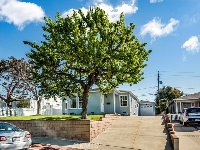 1166 Magnolia Avenue, Manhattan Beach, California 90266, 3 Bedrooms Bedrooms, ,2 BathroomsBathrooms,Residential,Sold,Magnolia,SB19063991 1166 Magnolia Avenue, Manhattan Beach, California 90266, 3 Bedrooms Bedrooms, ,2 BathroomsBathrooms,Residential,Sold,Magnolia,SB19063991