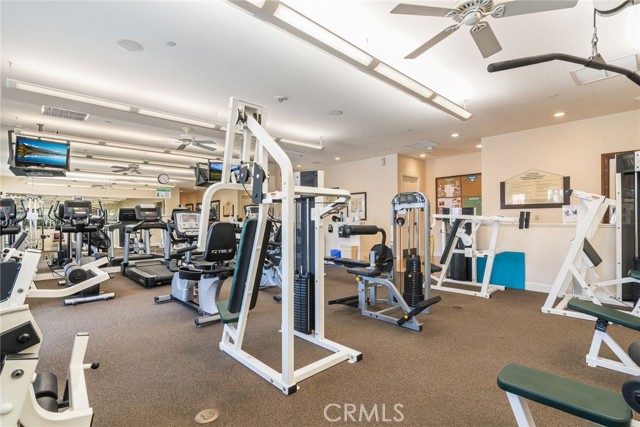 Property Photo 41
