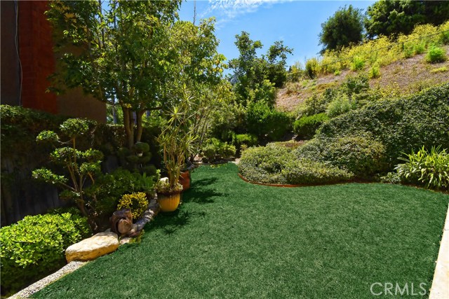 Backyard Backyard