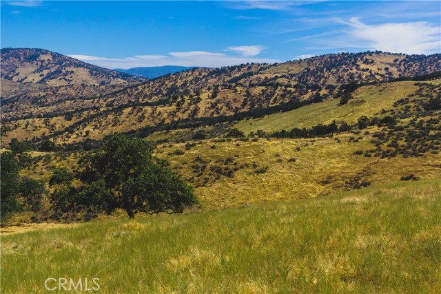 Watts Valley Road