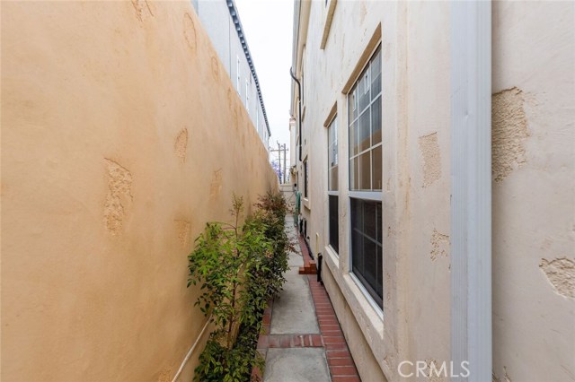 Enclosed secure side yard with a small doggie door.