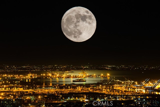 Night View on a Full Moon