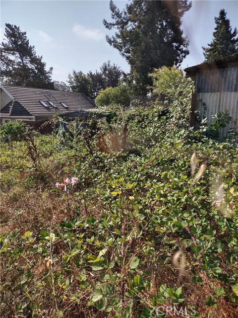 Detail Gallery Image 11 of 11 For 32 Crow Ave, Watsonville,  CA 95076 - – Beds | – Baths