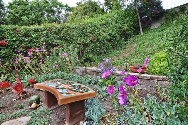 New Drought Tolerant Landscaping in the Backyard