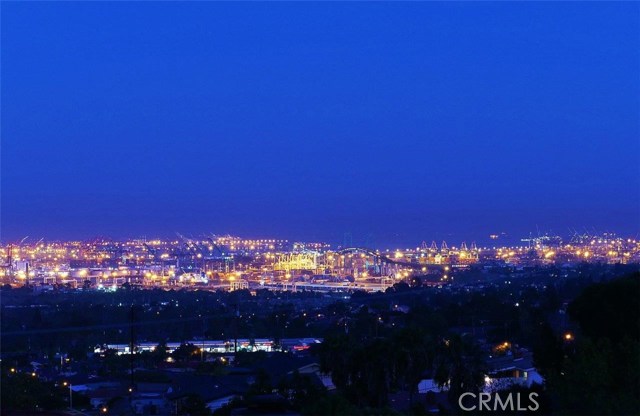 Dazzling City Light and Harbor View