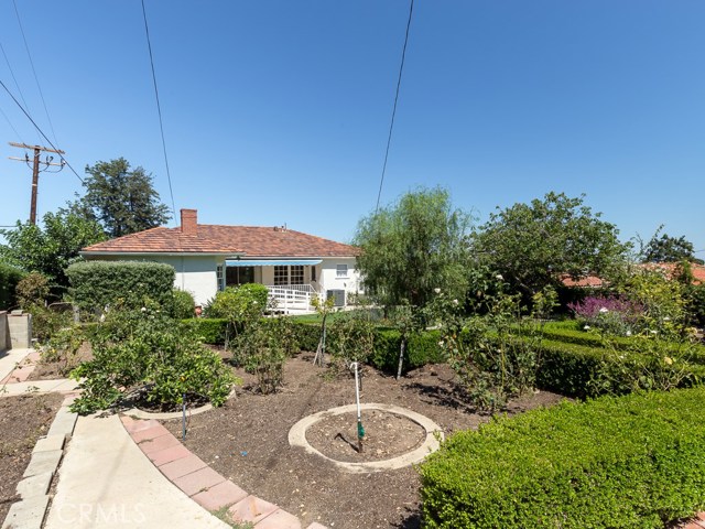 Viewing rose and citrus garden with lawn and house behind