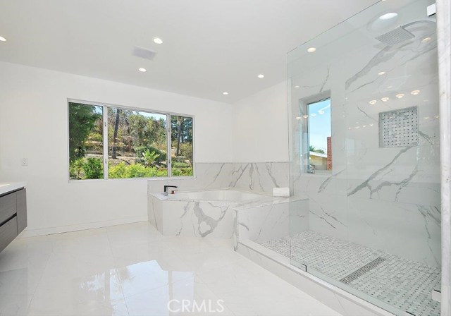 Spa Tub & Walk-in Shower in Master Bathroom