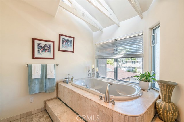 Master bath jacuzzi with natural lighting