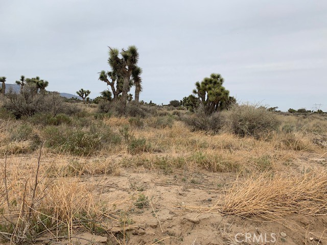 Detail Gallery Image 8 of 9 For 0 Tumbleweed, Phelan,  CA 92371 - – Beds | – Baths