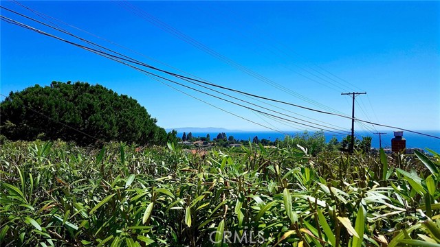 Ocean & Catalina Views from Backyard!