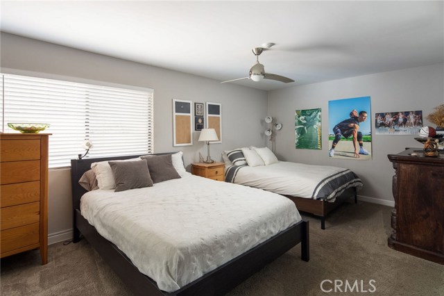 Most windows have newer blinds