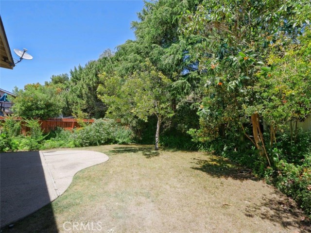 Gorgeous mature trees - spacious backyard Gorgeous mature trees - spacious backyard
