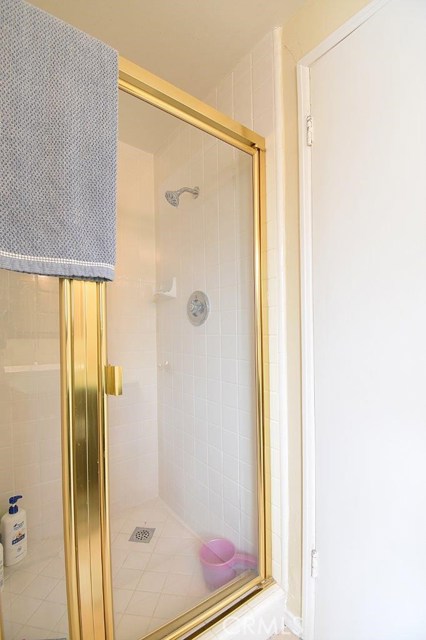 Master Bathroom Shower