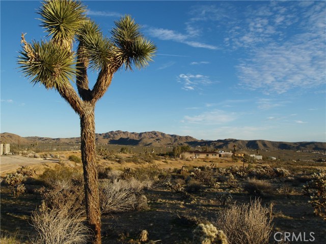 Conejo, 92252, ,For Sale,Conejo,JT17049562