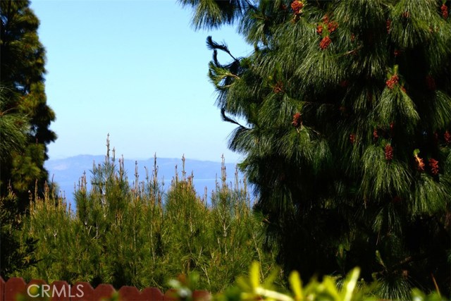 Mountain, trees, ocean peek (zoomed in)