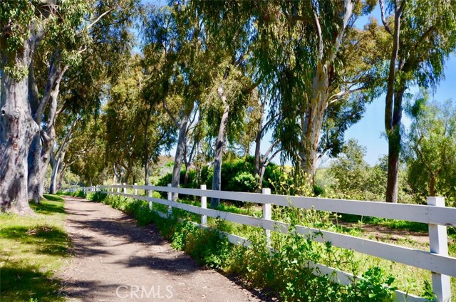 Imagine riding or walking down these lovely trails.