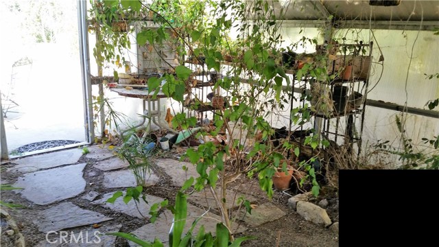 Greenhouse where paddle tennis court use to be