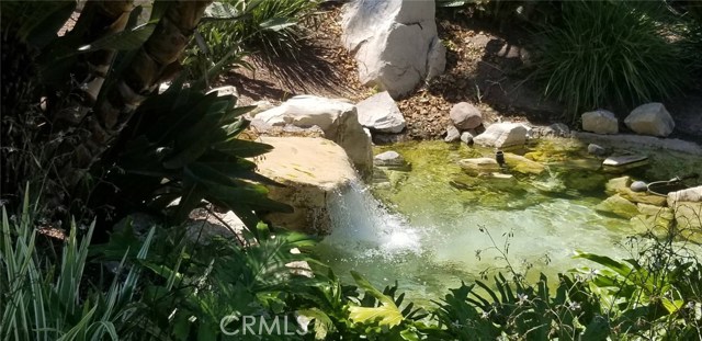 ONE OF THE MANY WATERFALLS ON THE PROPERTY