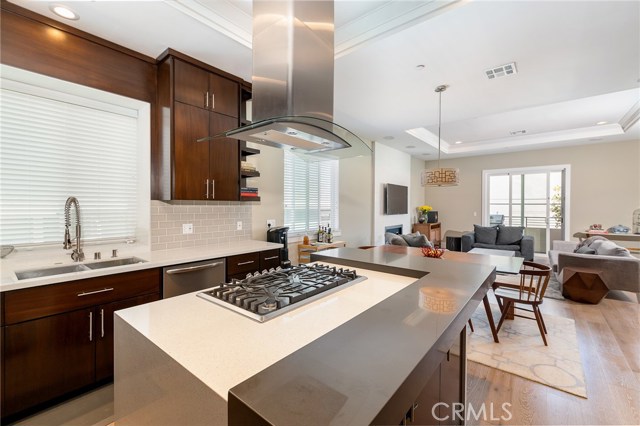 Designer counter tops, high end appliances, immaculate condition