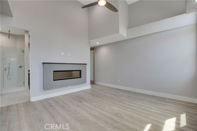 MASTER FIREPLACE