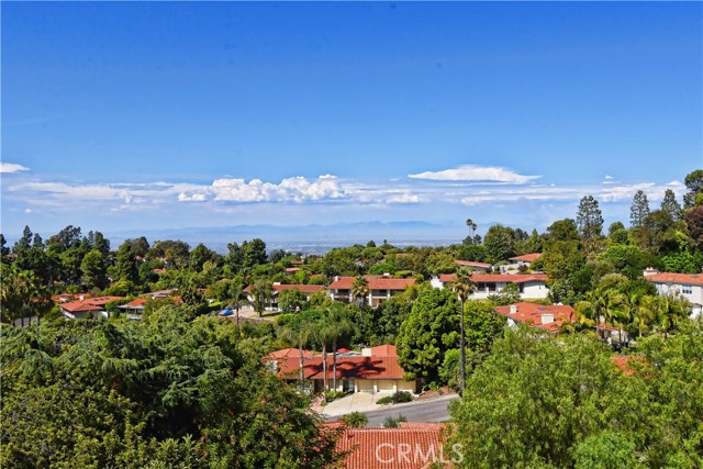 Views of Trees, Mountains and City