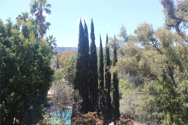 View from the Master Bdrm. on the First Floor