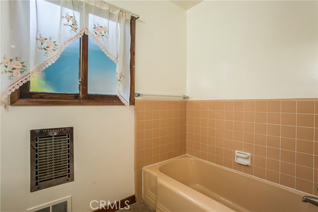 The bathtub and shower have vintage tile.