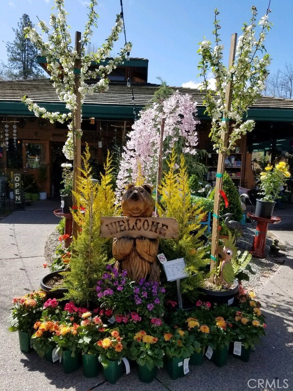 Golden Oak, 93644, ,Commercial,For Sale,Golden Oak,FR20186354