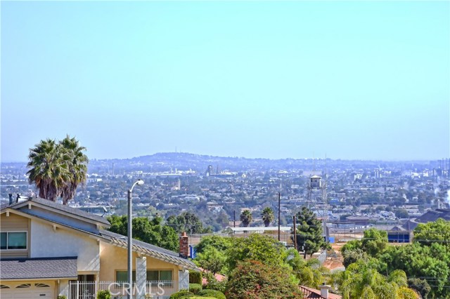 Front yard view zoomed in
