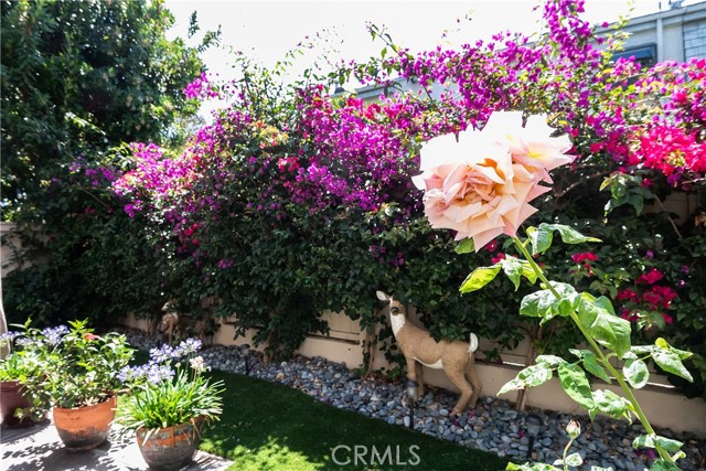 219 Juanita Avenue, Redondo Beach, California 90277, 4 Bedrooms Bedrooms, ,4 BathroomsBathrooms,Residential,Sold,Juanita,SB19181884