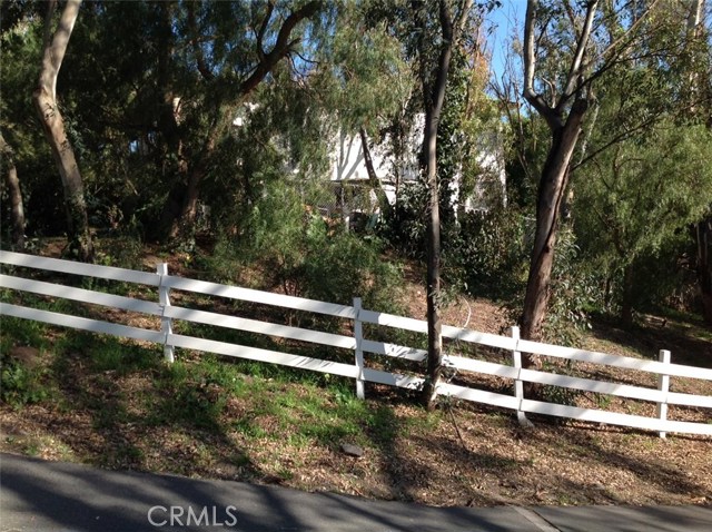 Large Side Yard off of Tanglewood