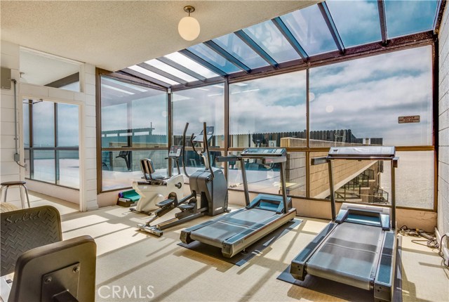 Exercise in the Gym while watching the Dolphins and Sunsets from the 11th Floor with Roof Access
