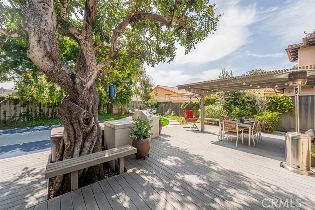 Stately tree and built-in bench in backyard