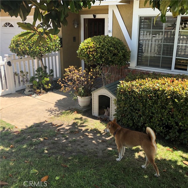 Another view of the fenced front yard and entrance to your new home...