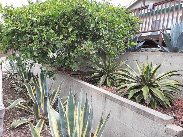 427 Paulina Ave, Redondo Beach, California 90277, 3 Bedrooms Bedrooms, ,1 BathroomBathrooms,Residential,Sold,Paulina Ave,SB20187373