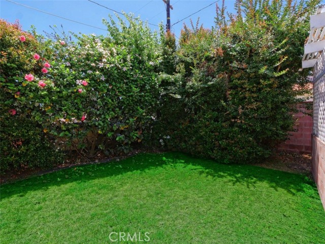 Backyard looking opposite direction.