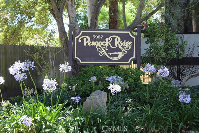 5987 Peacock Ridge Road, Rancho Palos Verdes, California 90275, 3 Bedrooms Bedrooms, ,2 BathroomsBathrooms,Residential,Sold,Peacock Ridge,SB17166684