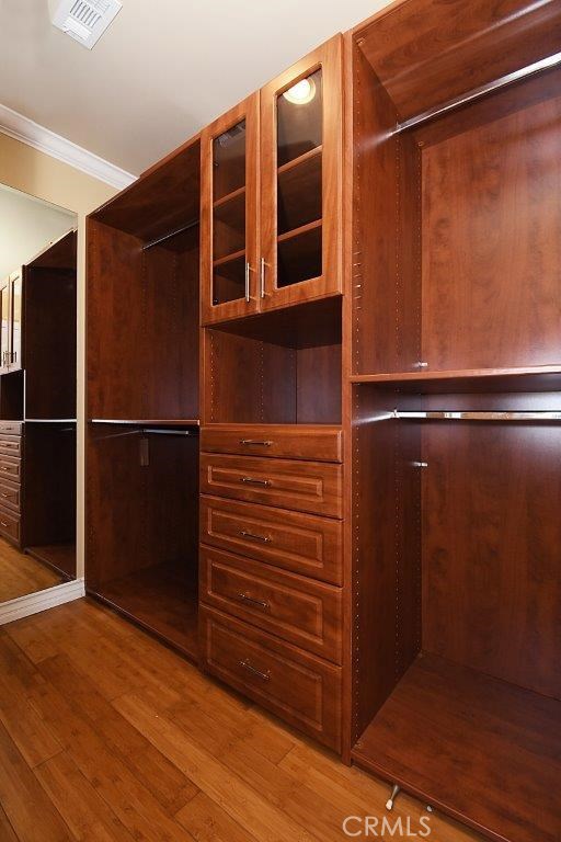 Walk-in Closet in Master Bedroom