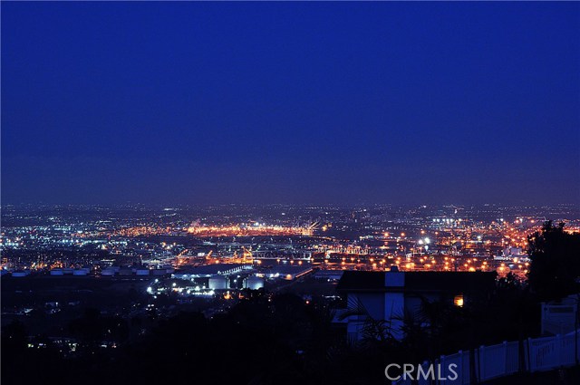 Night View of San Pedro Harbor/Bridge