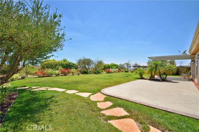 Patio and Grassy Backyard