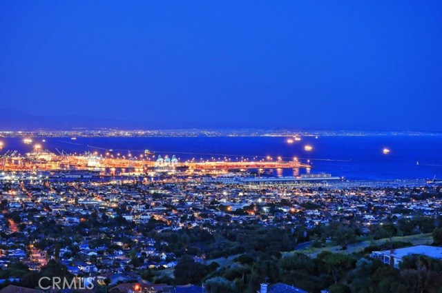 Night View from the House