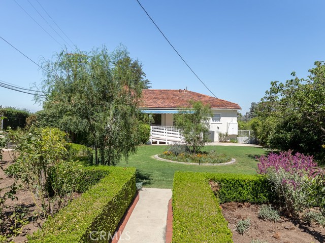 Center view from the garden to the house