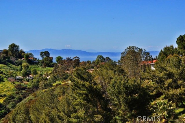 Santa Monica bay view