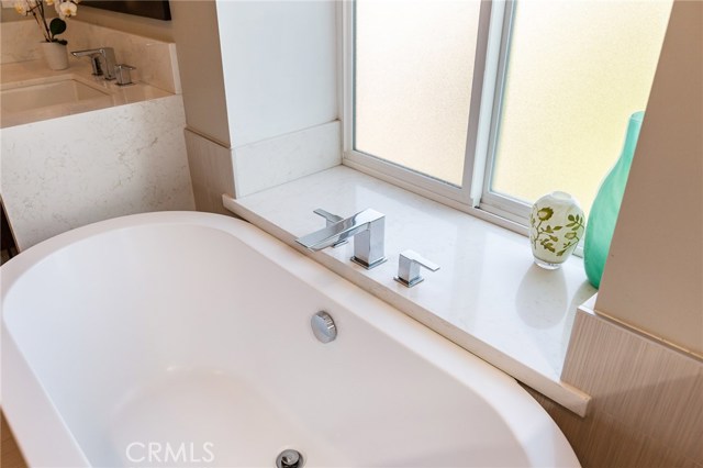 Deluxe master bath  and designer fixtures
